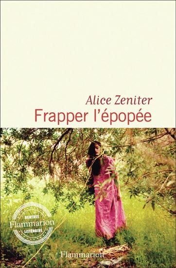 Image Frapper l'épopée : roman