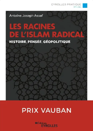 Image Les racines de l'islam radical, nouvelle édition actualisée