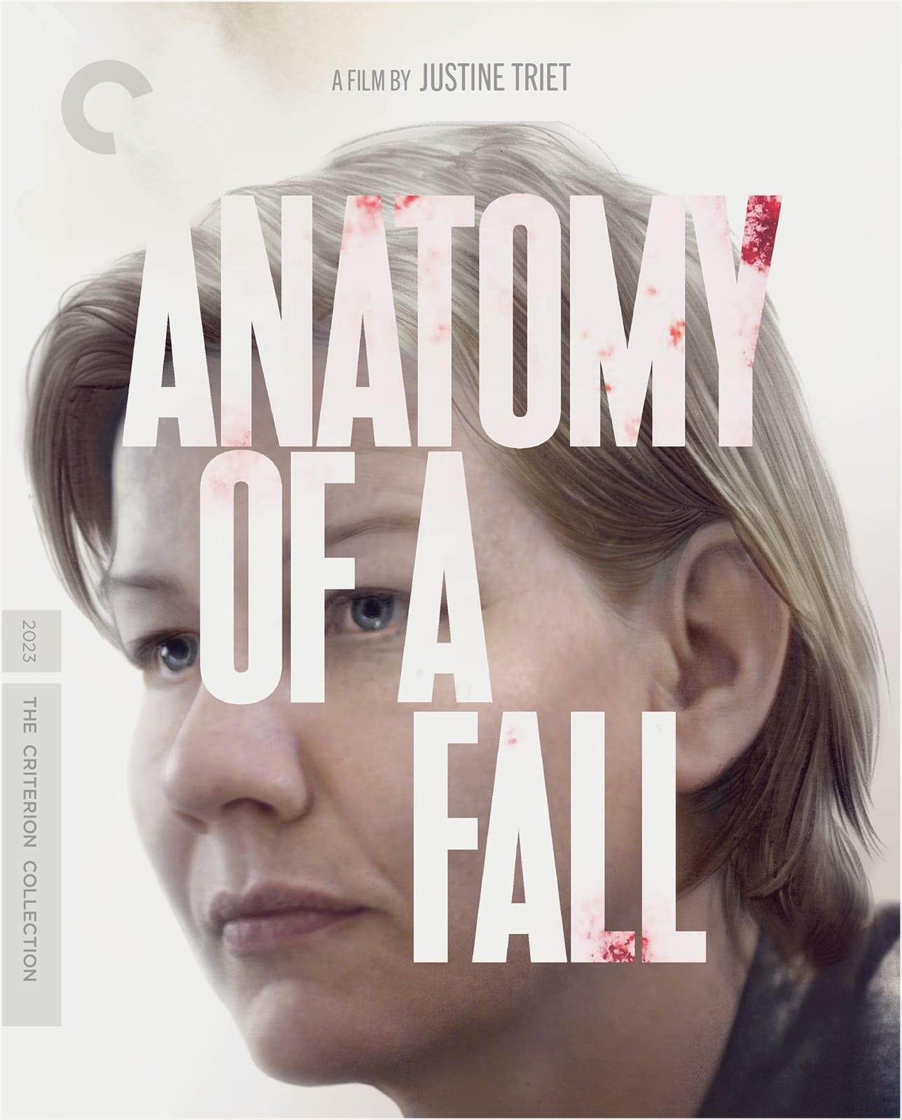 Image Anatomie d'une chute - Anatomy of a fall