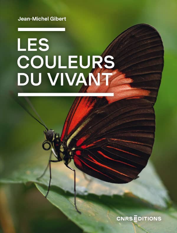 Image Les couleurs du vivant