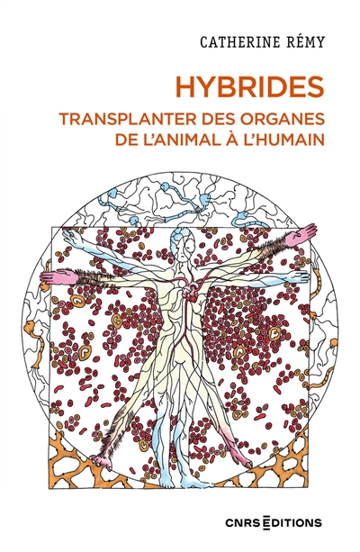 Image Hybrides : transplanter des organes de l'animal à l'humain