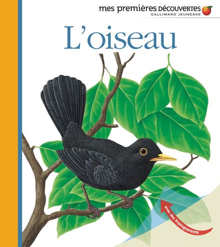 Image L'oiseau