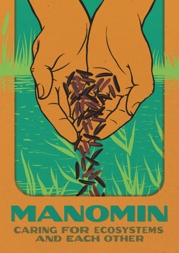 Image Manomin : caring for ecosystems and each other