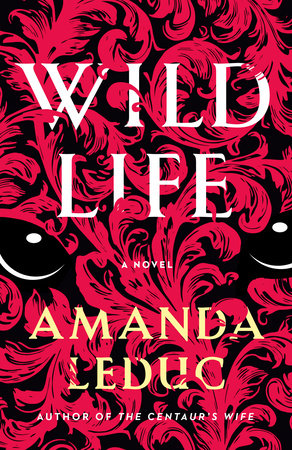 Image Wild life : a novel