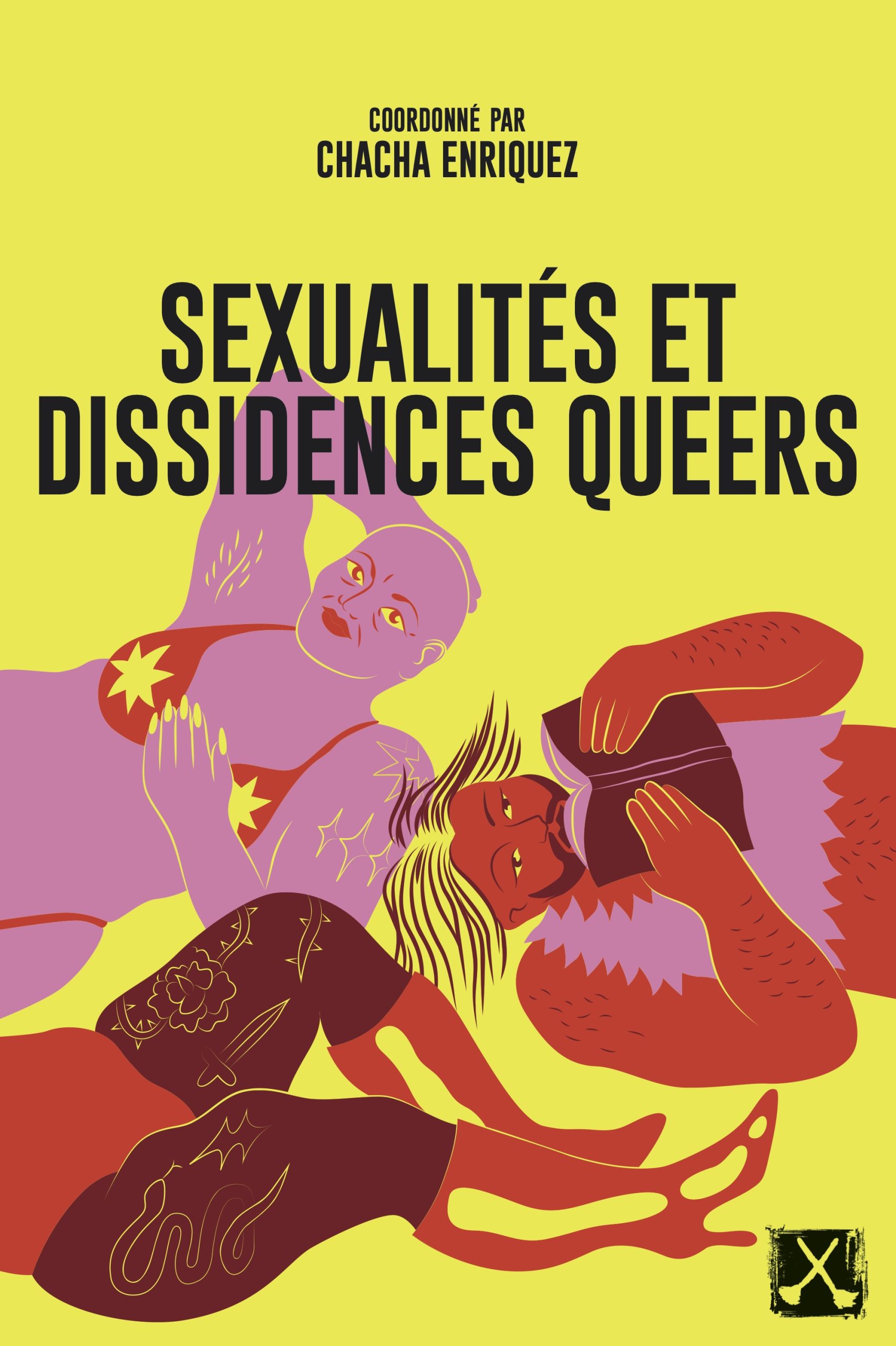 Image Sexualités et dissidences queers