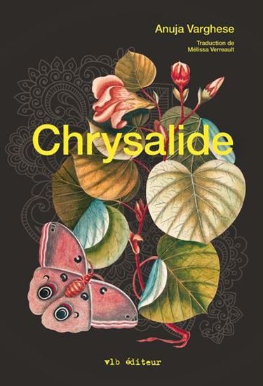 Image Chrysalide