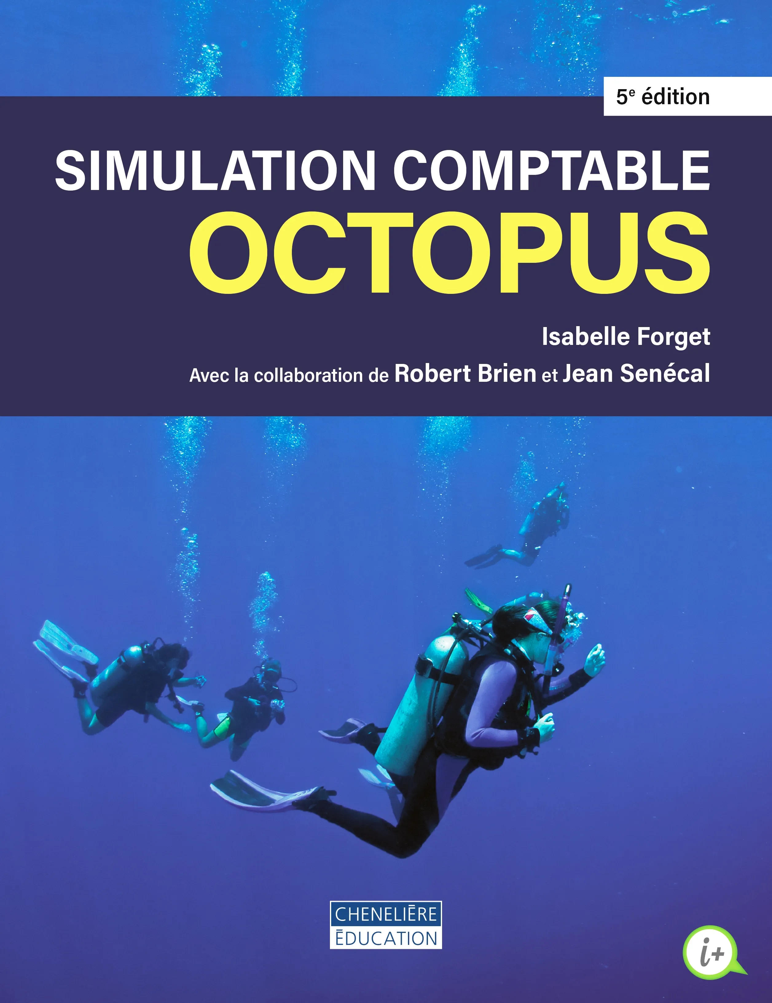 Image Simulation comptable Octopus