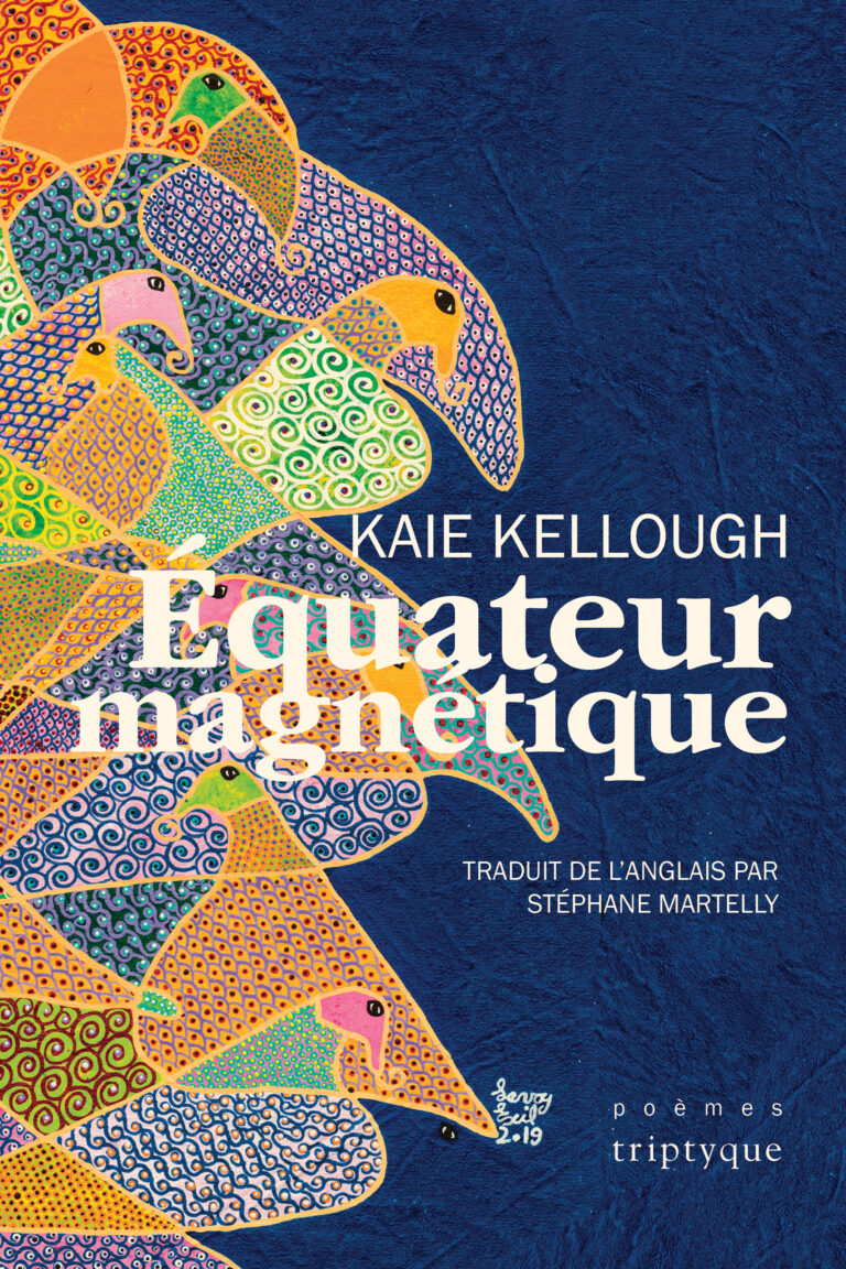 Image Équateur magnétique