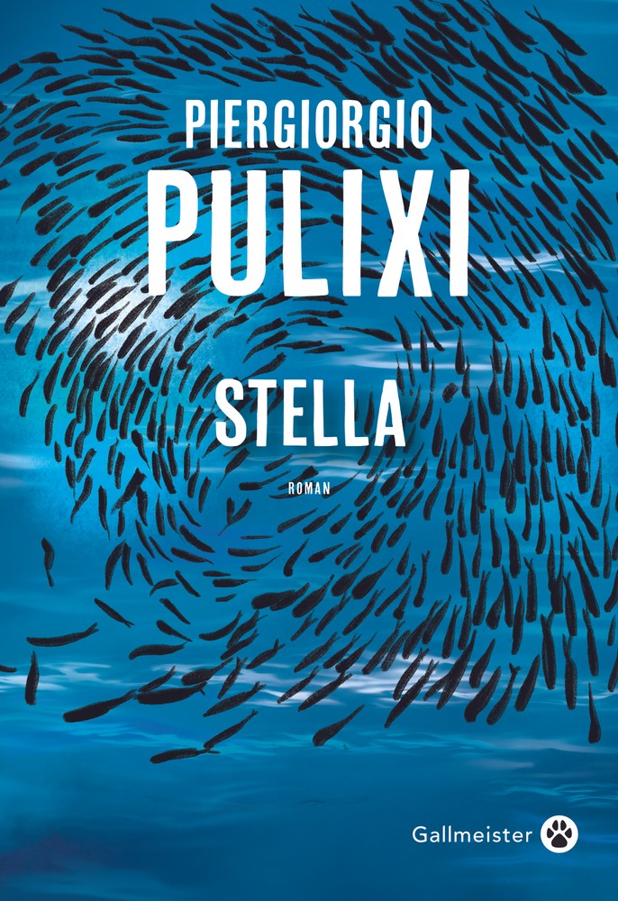 Image Stella : roman
