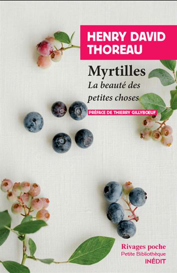 Image Myrtilles : la beauté des petites choses