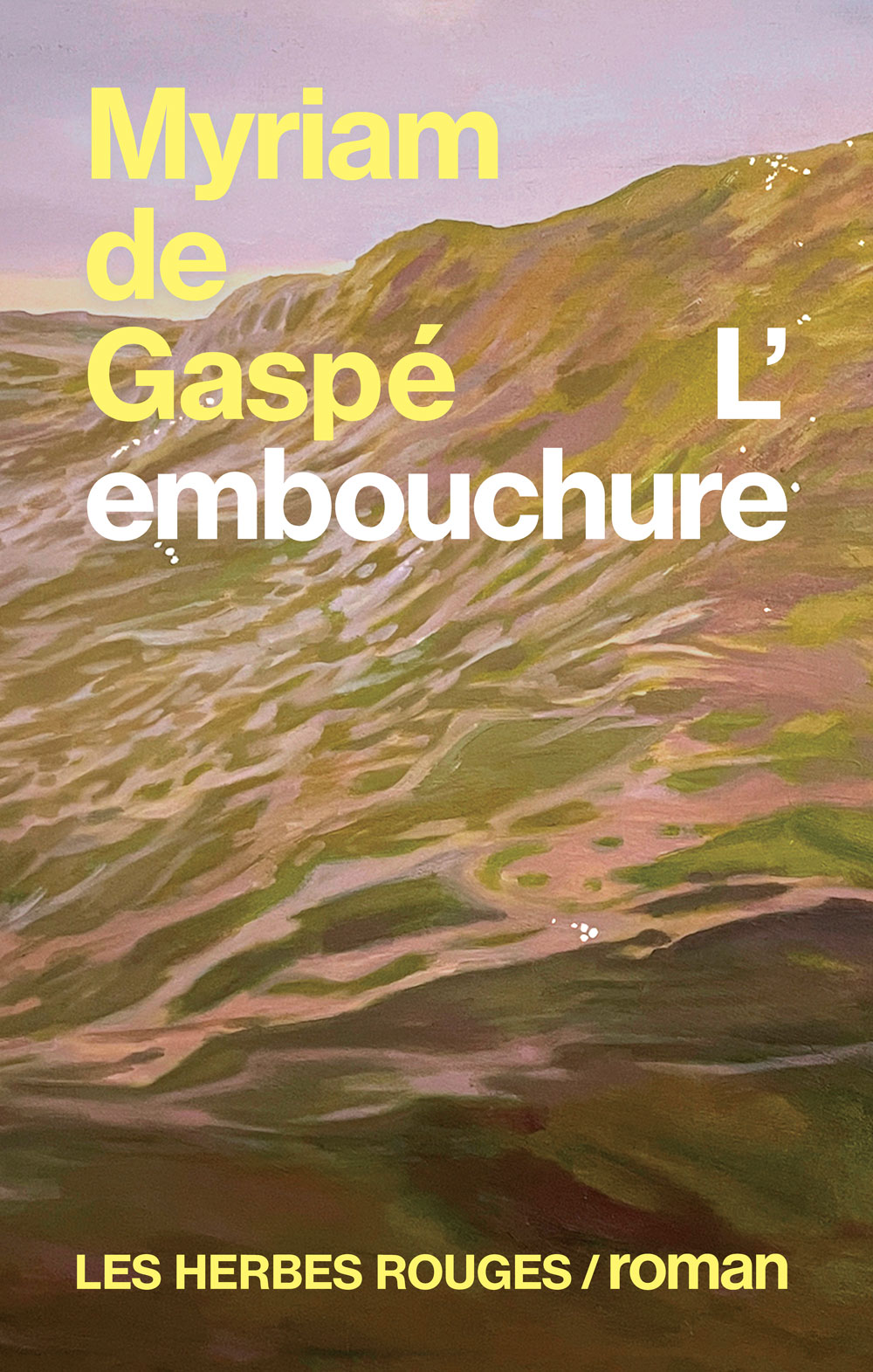 Image L’embouchure : roman