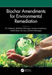 Image Biochar Amendments for Environmental Remediation