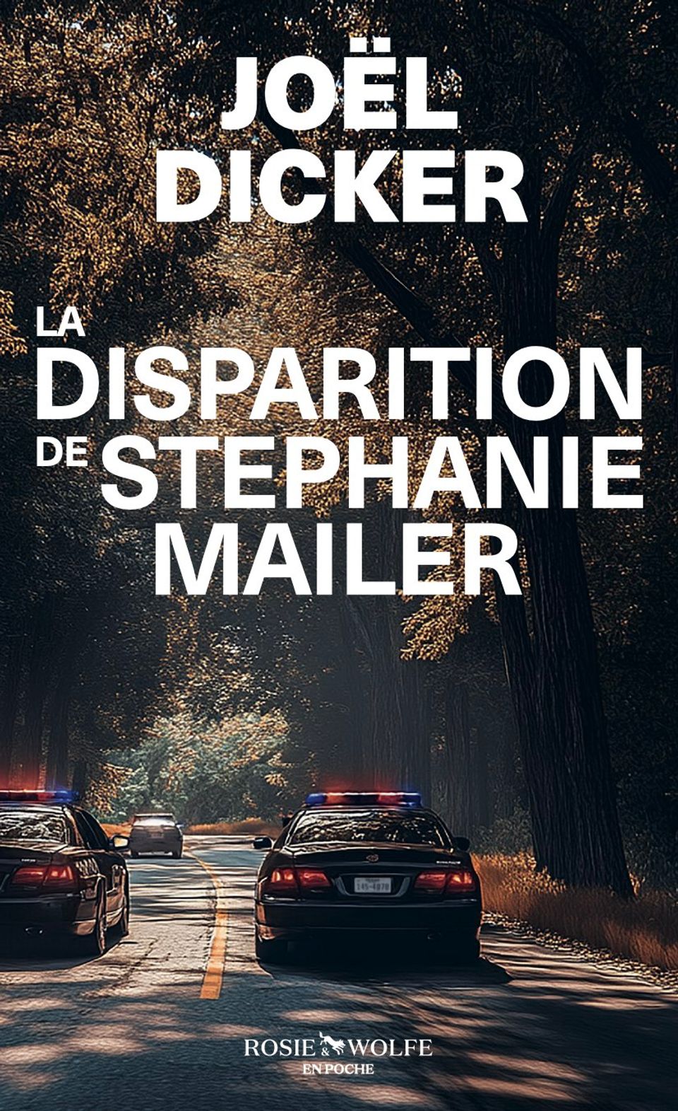 Image La disparition de Stéphanie Mailer