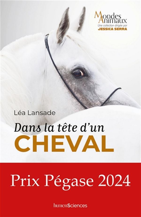 Image Dans la tête d'un cheval