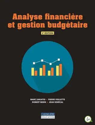 Image Analyse financière et gestion budgétaire, 2e édition