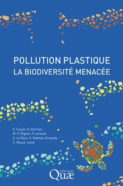Image Pollution plastique, la biodiversité menacée