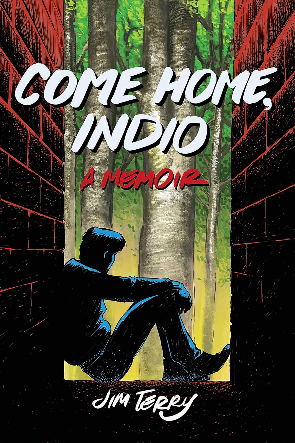 Image Come home, Indio : a memoir