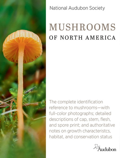 Image Mushrooms of North America