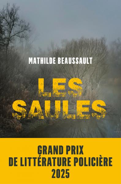 Image Les saules : roman