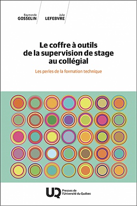 Image Le coffre à outils de la supervision de stage au collégial : les perles de la formation technique
