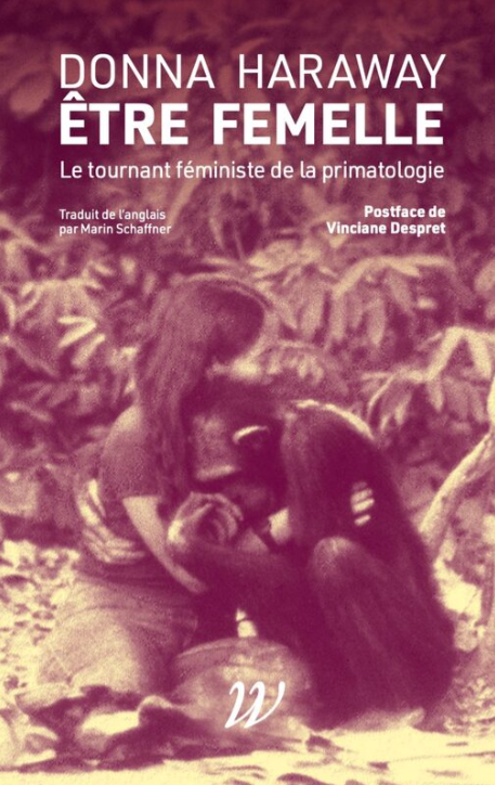Image Être femelle : le tournant féministe de la primatologie