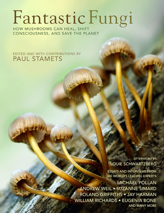 Image Fantastic fungi : how mushrooms can heal, shift consciousness & save the planet