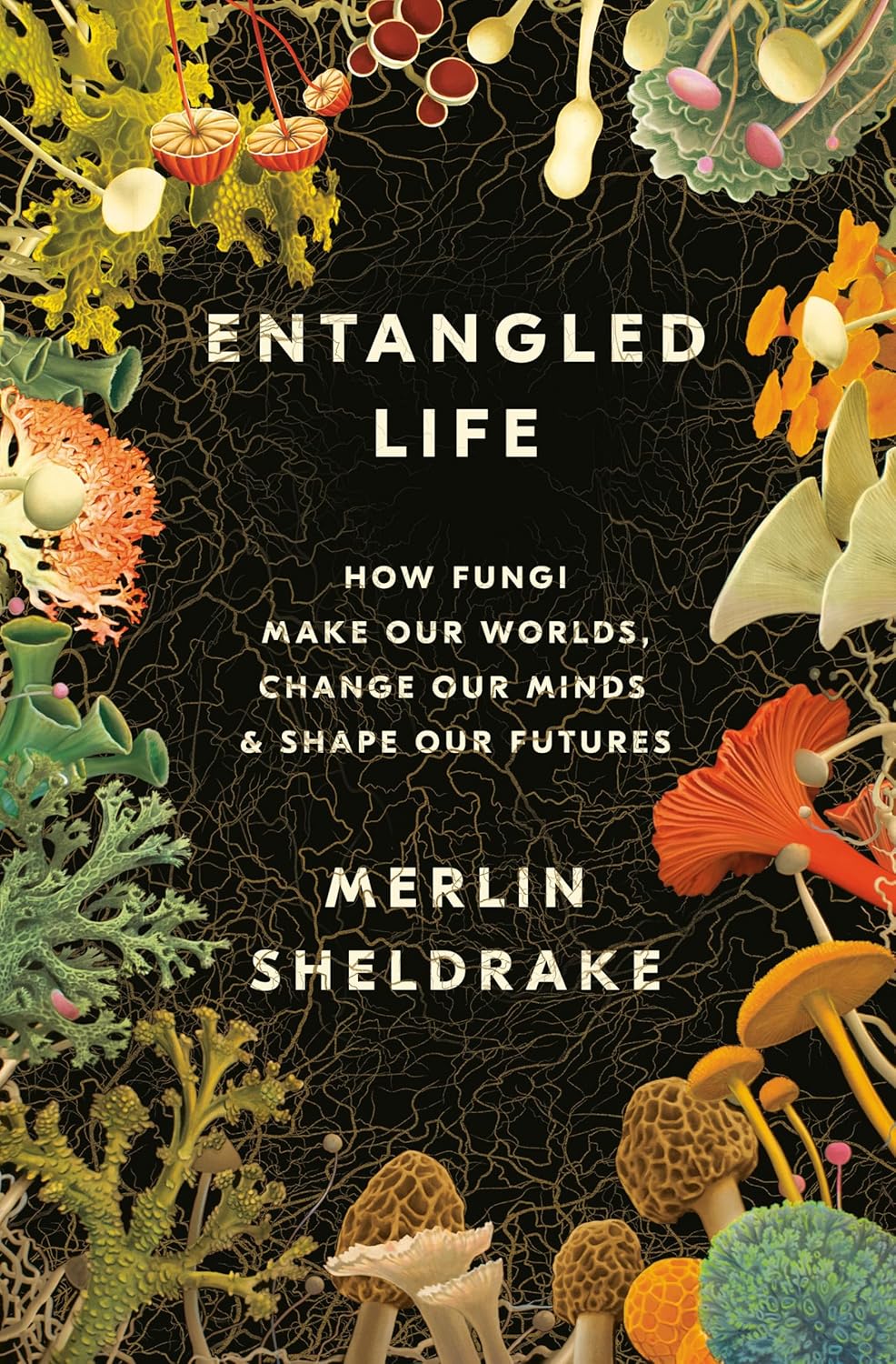 Image Entangled life : how fungi make our worlds, change our minds & shape our futures
