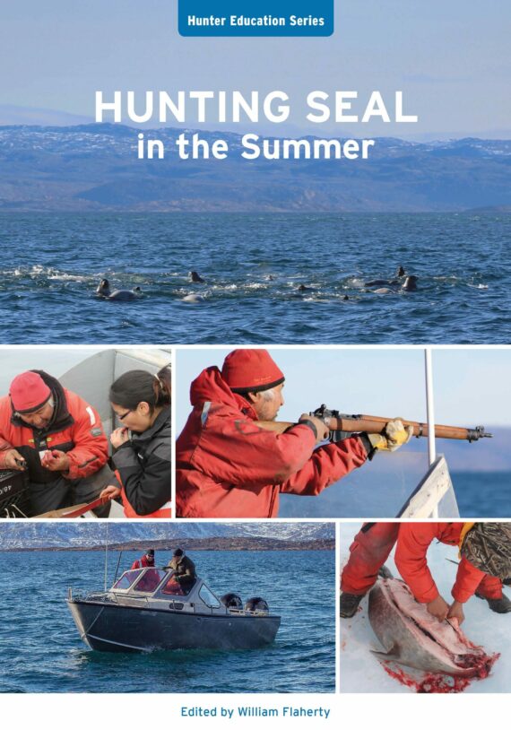 Image Hunting seal in the summer