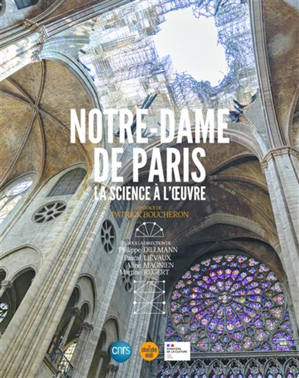 Image Notre-Dame de Paris : la science à l'oeuvre