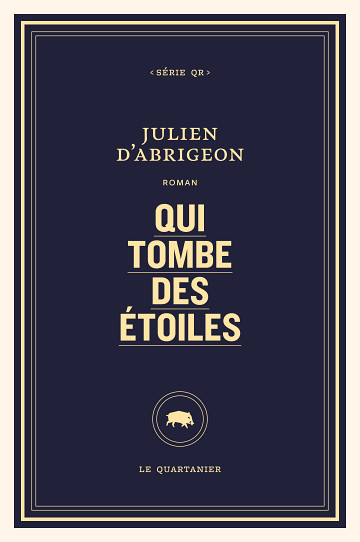 Image Qui tombe des étoiles : roman