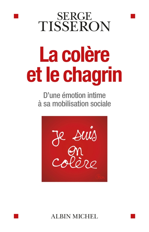Image La colère et le chagrin : d'une émotion intime à sa mobilisation sociale