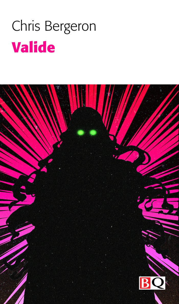 Image Valide : roman