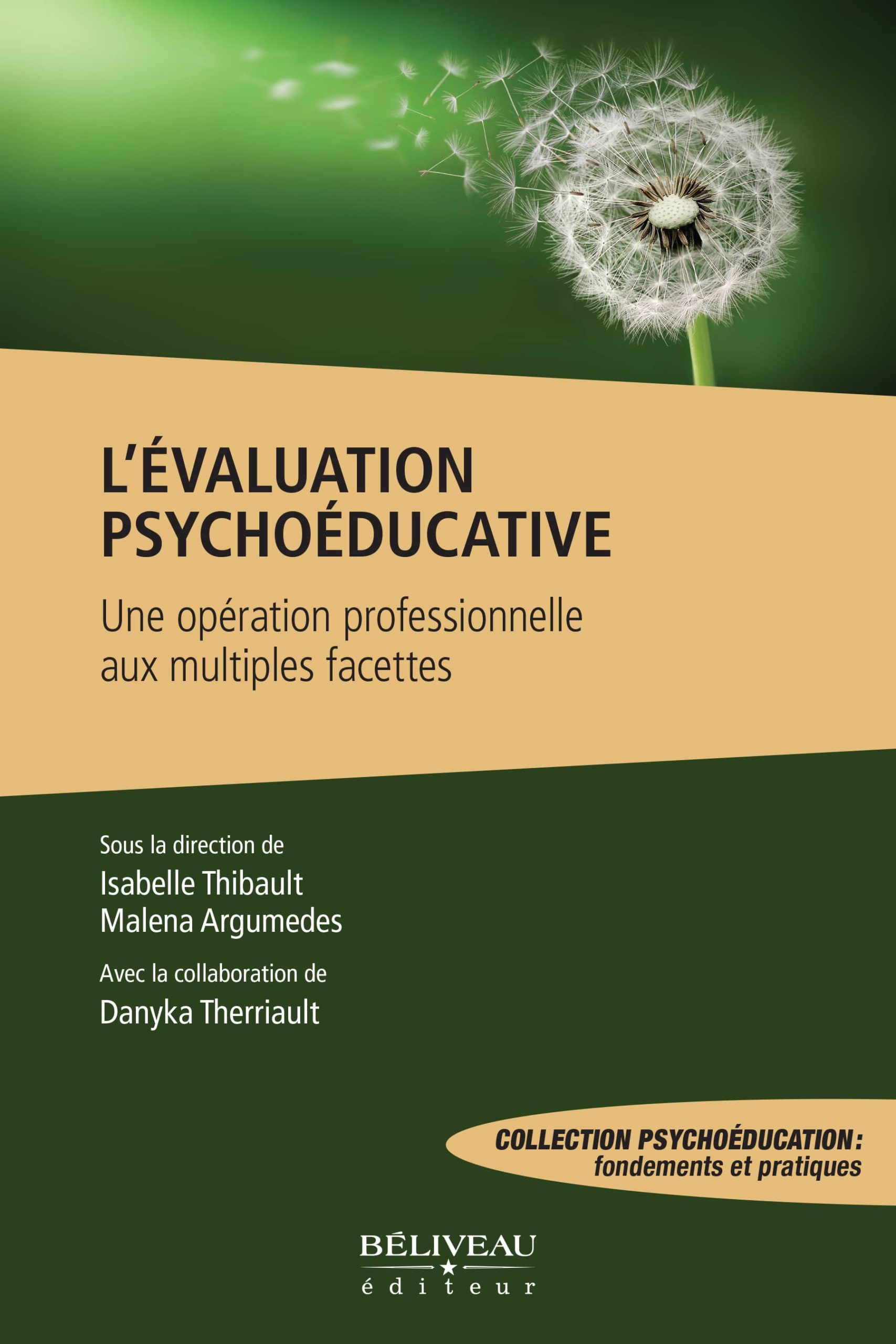 Image L’évaluation psychoéducative : une opération professionnelle aux multiples facettes