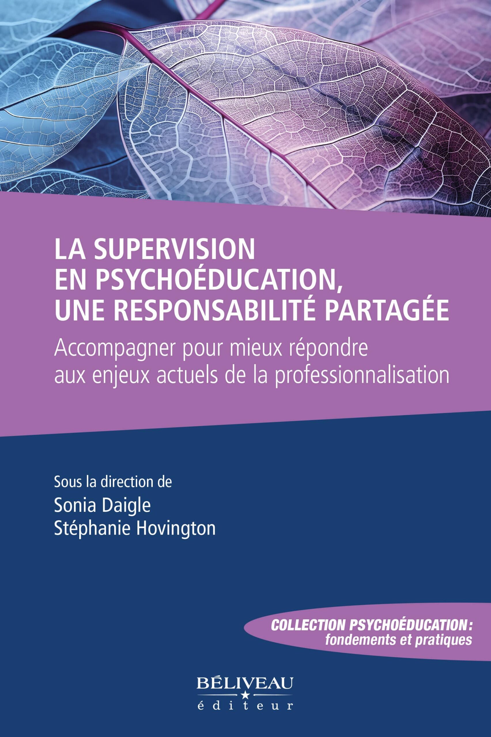 Image La supervision en psychoéducation, une responsabilité partagée : accompagner pour mieux répondre aux enjeux actuels de la professionnalisation