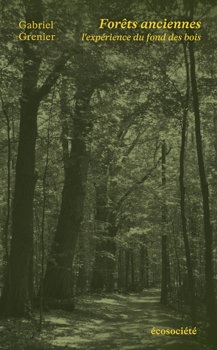Image Forêts anciennes : l'expérience du fond des bois
