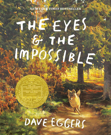 Image The eyes & the impossible