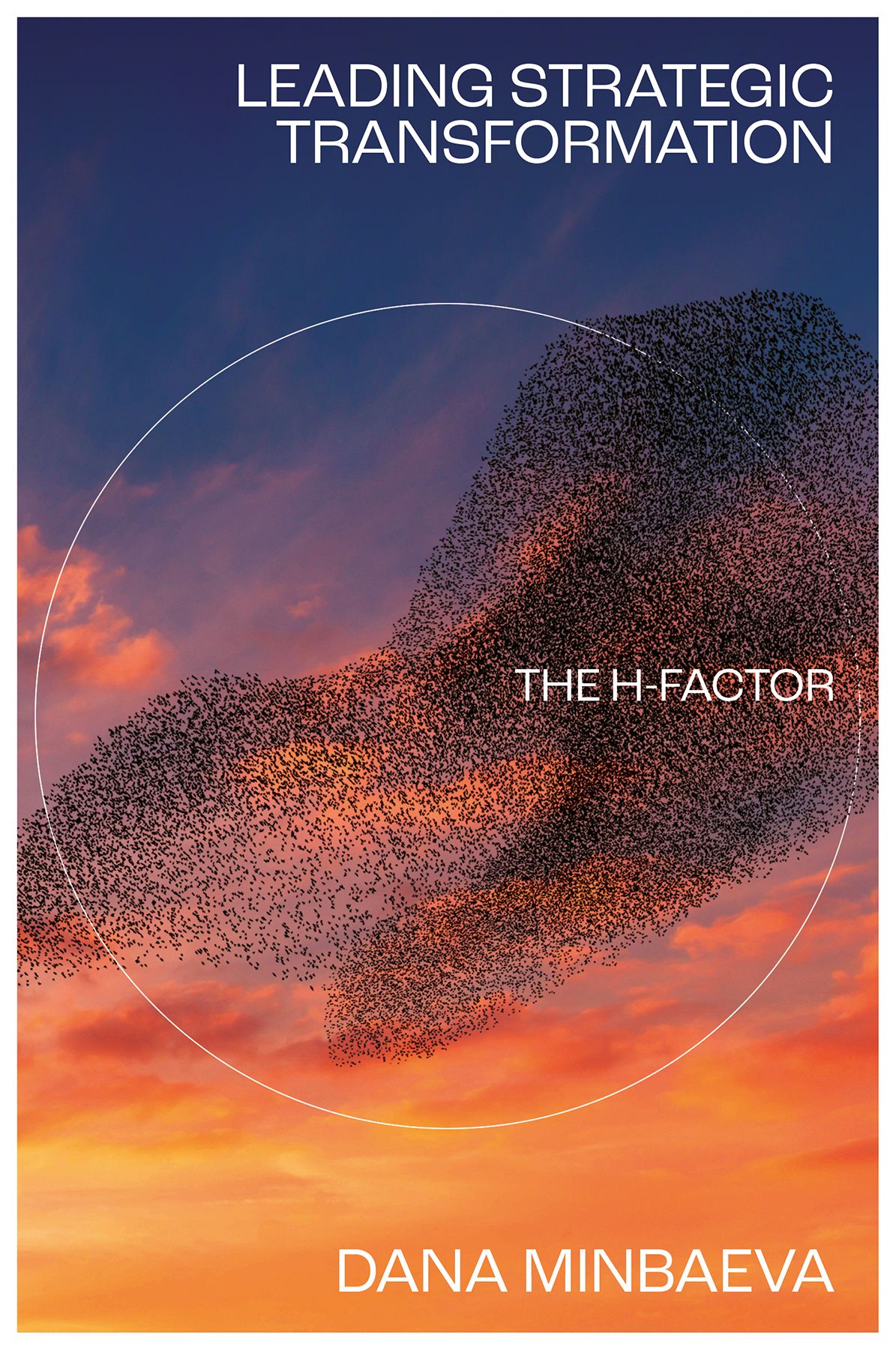 Image Leading Strategic Transformation: The H-factor