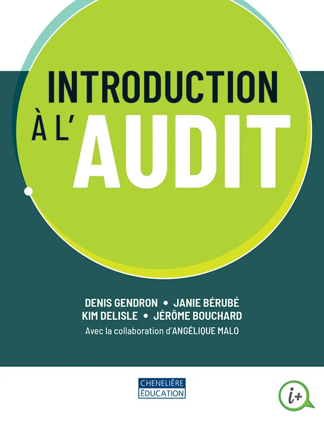 Image Introduction à l'audit