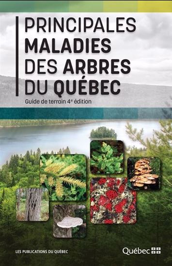 Image Principales maladies des arbres du Québec : guide de terrain