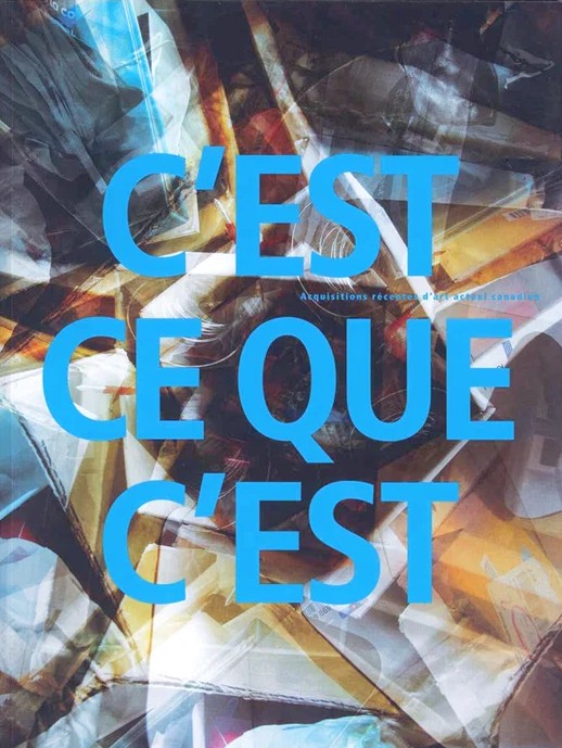 Image C'est ce que c'est : acquisitions récentes d'art actuel canadien