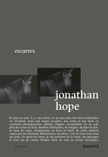 Image Escarres : roman