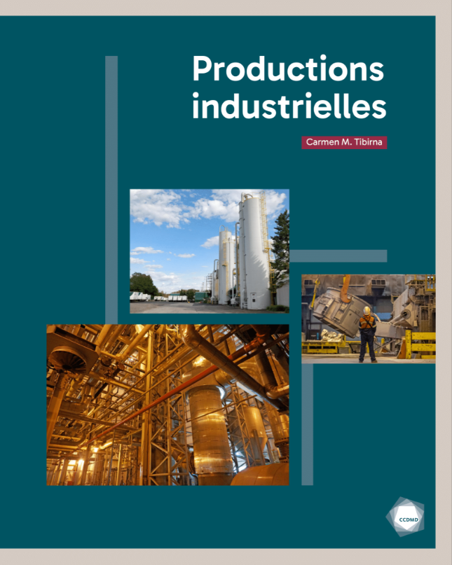 Image Productions industrielles