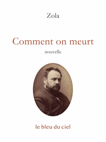 Image Comment on meurt : nouvelle