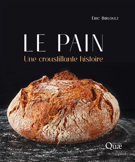 Image Le Pain : une croustillante histoire