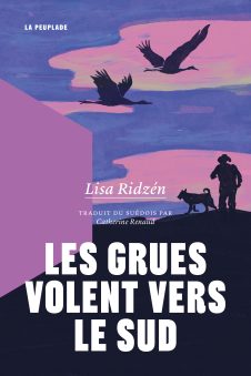 Image Les grues volent vers le sud