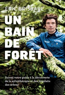 Image Un bain de forêt : découvrez le pouvoir de la sylvothérapie