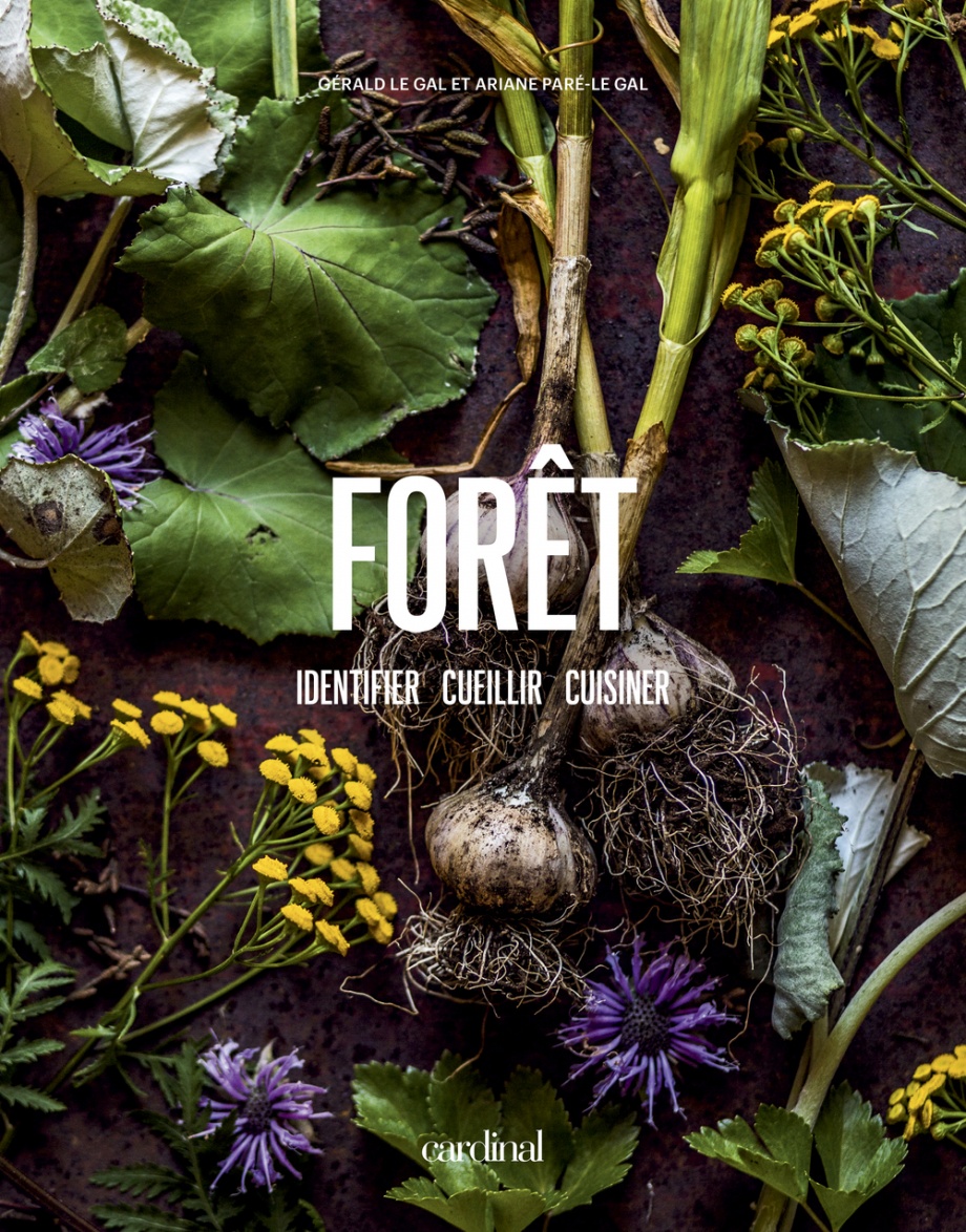 Image Forêt : identifier, cueillir, cuisiner