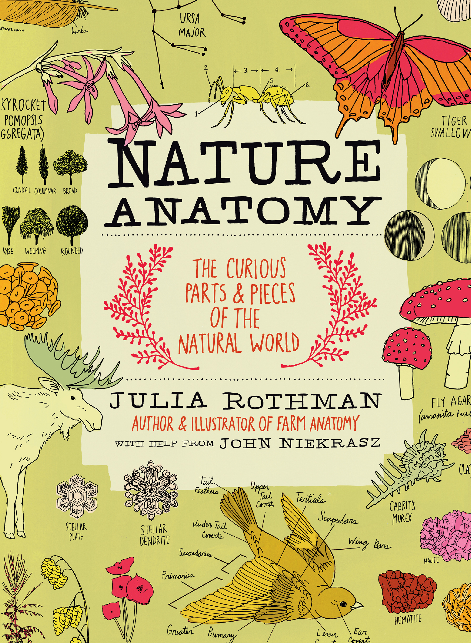 Image Nature anatomy : the curious parts & pieces of the natural world