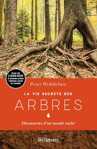 Image La vie secrète des arbres : découvertes d'un monde caché