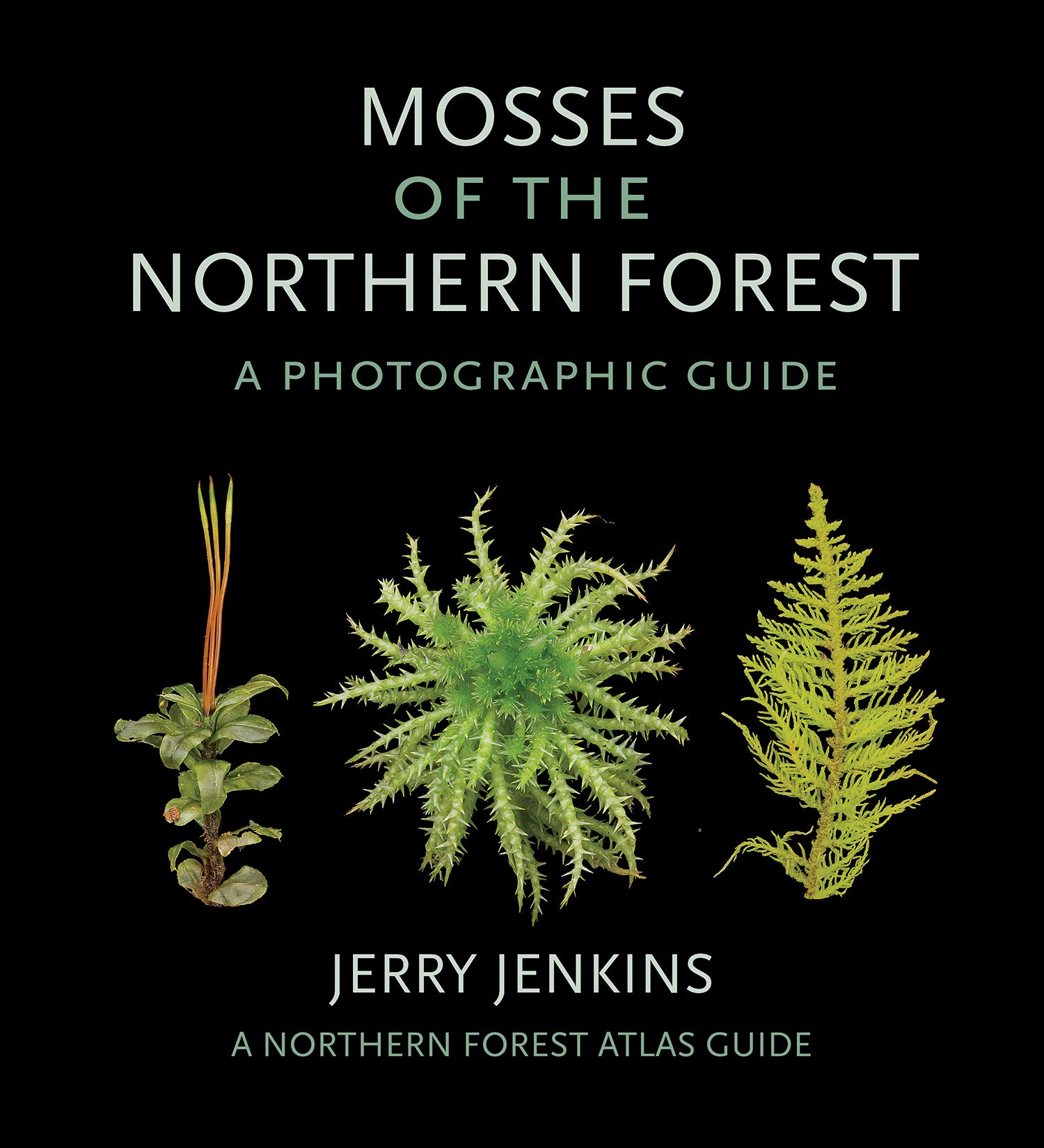 Image Mosses of the northern forest : a photographic guide